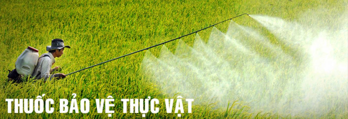 Thuốc bảo vệ TV